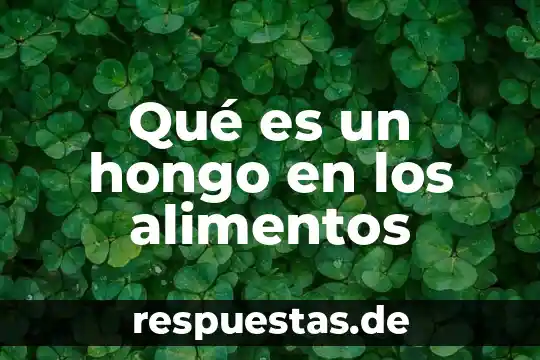 Alimentos de origen animal que es 3 Qué es un hongo en los alimentos