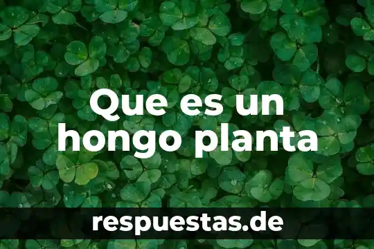 Que es una planta telefónica 6 Que es un hongo planta