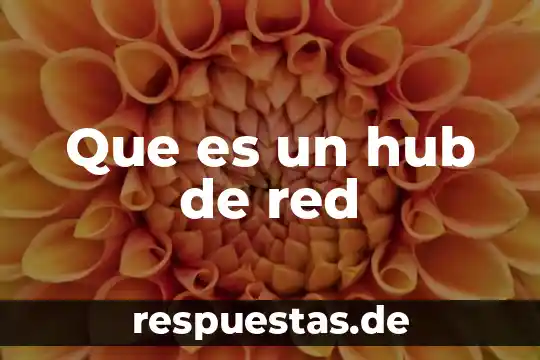 Linksys-g red que es 8 Que es un hub de red