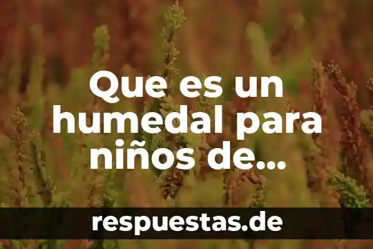 Que es el grado absoluto fisica 3 Que es un humedal para niños de quinto grado