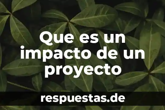 Que es snapchat y su impacto en la sociedad 3 Que es un impacto de un proyecto