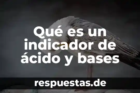 Que es un indicador con integridad 8 Qué es un indicador de ácido y bases
