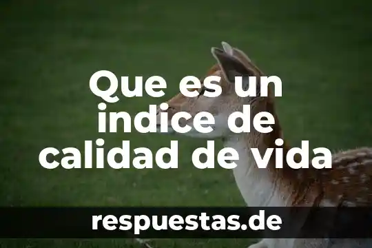 Que es el imecca instititu mexicano del control de calidad 6 Que es un indice de calidad de vida