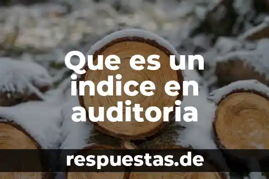 Que es la auditoria legal en capital humano 4 Que es un indice en auditoria