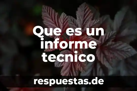 Qué es el número de tarjeta 4 Que es un informe tecnico