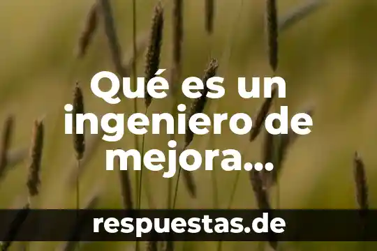 Que es mejora continua como departamento en un restaurante 5 Qué es un ingeniero de mejora continua