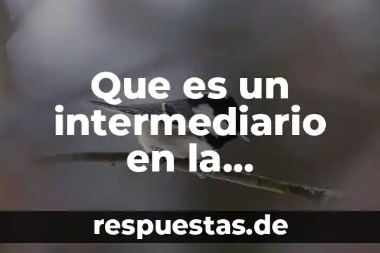 Qué es la comunicación en el siglo XXI 8 Que es un intermediario en la comunicacion