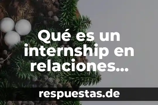 Que es este compuesto quimico bas 3 Qué es un internship en relaciones internacionales