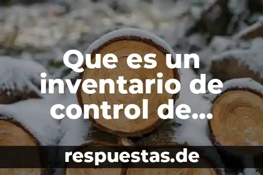 Que es la administracion en un inventario 3 Que es un inventario de control de existencia