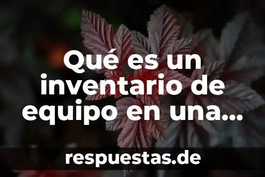 Que es un inventario de control de existencia 5 Qué es un inventario de equipo en una empresa comercial