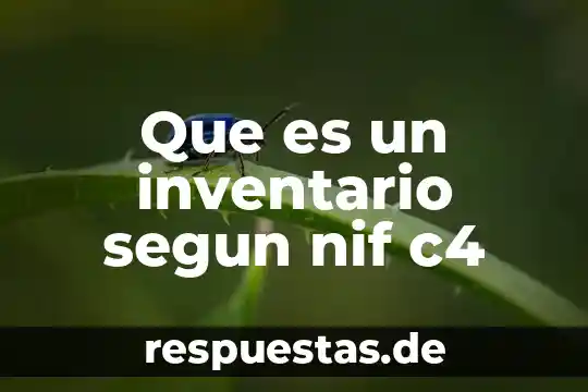 Que es la modernidadnifica ser moderno segun las modas 7 Que es un inventario segun nif c4