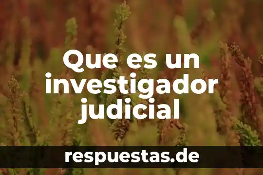 Que es un investigador anfitrion 6 Que es un investigador judicial