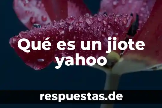 Que es ser terca yahoo 6 Qué es un jiote yahoo