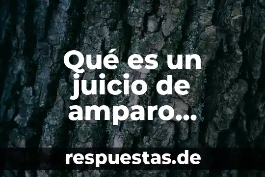 Que es el amparo directo en materia fiscal 7 Qué es un juicio de amparo definición corta