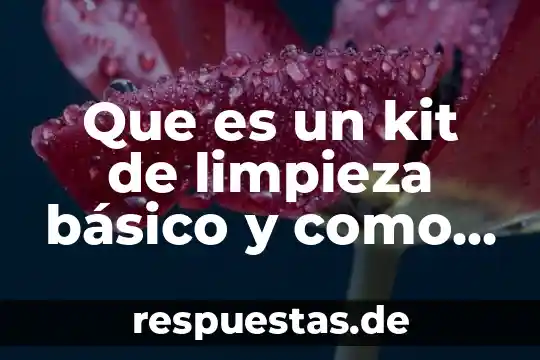 Que es inteligencia artificial l como hacerlo 3 Que es un kit de limpieza básico y como hacerlo