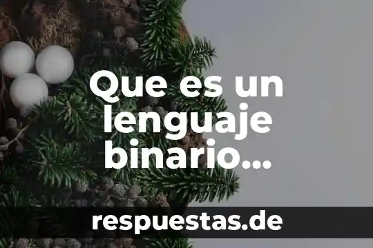 Qué es un número binario 5 Que es un lenguaje binario definicion