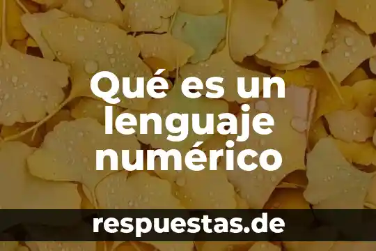 Qué es el lenguaje vibracional 3 Qué es un lenguaje numérico