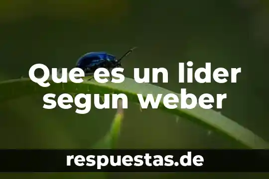 Weber do que es 3 Que es un lider segun weber
