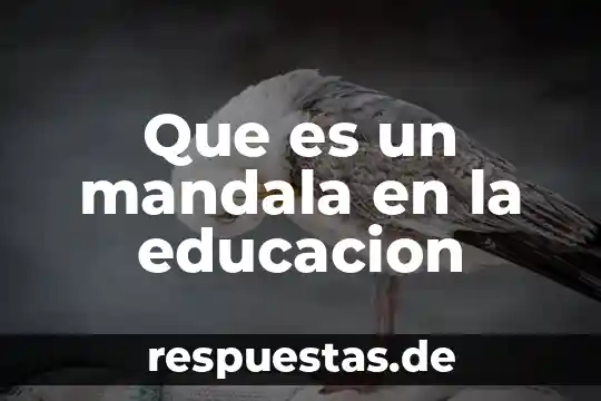 Que es un modelado proceso 6 Que es un mandala en la educacion