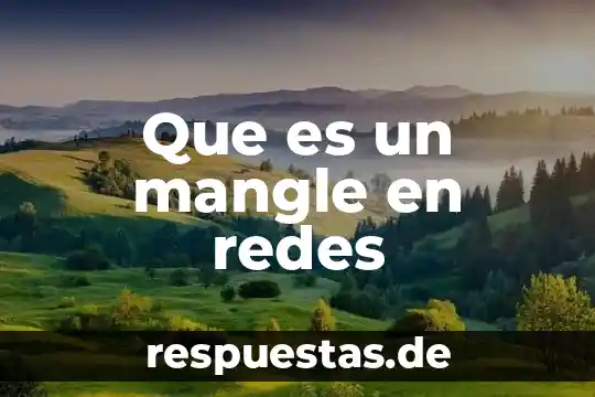 Que es estudio correnacional 3 Que es un mangle en redes