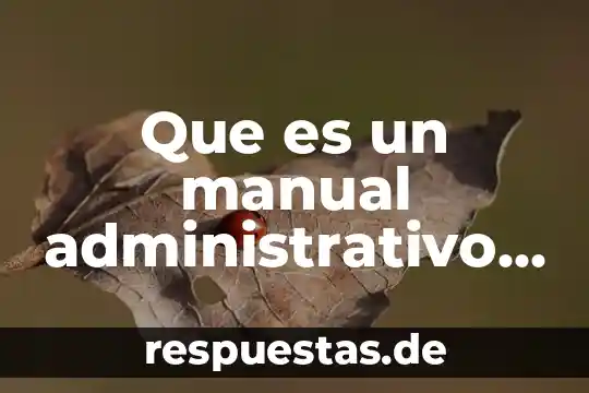 Que es el registro manual 5 Que es un manual administrativo segun un chico