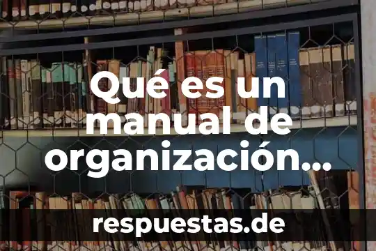 Que es la organizacion en los sistemas 7 Qué es un manual de organización tesis