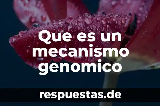 Que es la oxacilina mecanismo de accion 8 Que es un mecanismo genomico