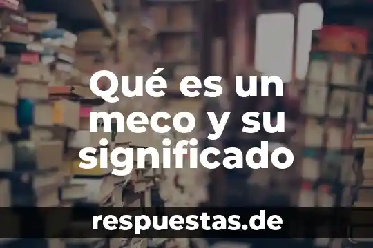 Qué es el tecolote y su significado 8 Qué es un meco y su significado