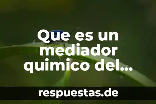 Que es bueno para el guayabo y dolor de cabeza 4 Que es un mediador quimico del dolor