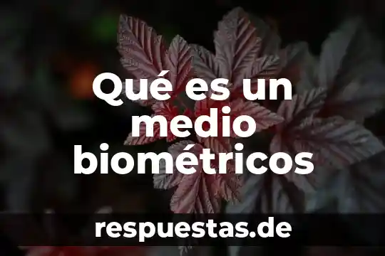 Qué es medio de palmtop 3 Qué es un medio biométricos