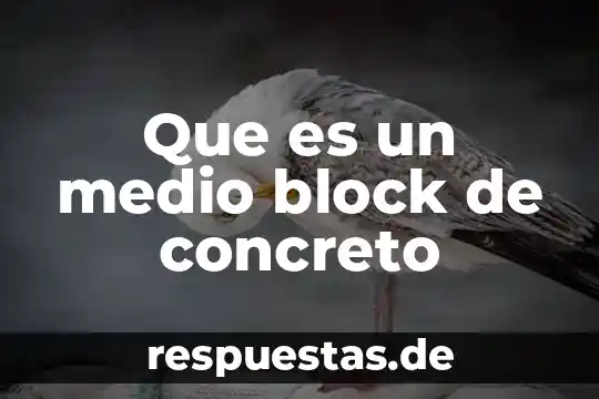 Parte del animal que es el new york 3 Que es un medio block de concreto