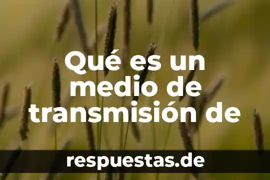 Que es un medio de cultivoliquido 4 Qué es un medio de transmisión de