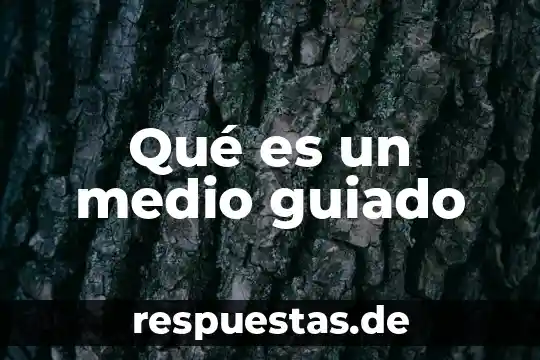 Qué es medio de palmtop 5 Qué es un medio guiado
