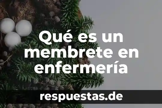 Soapie enfermería que es 5 Qué es un membrete en enfermería