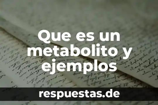 Que es una sociedad ejemplos 6 Que es un metabolito y ejemplos
