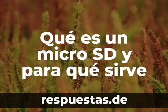 Que es ser sd o sm 5 Qué es un micro SD y para qué sirve