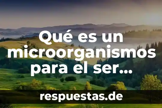 Que es ser criminalist 4 Qué es un microorganismos para el ser humano