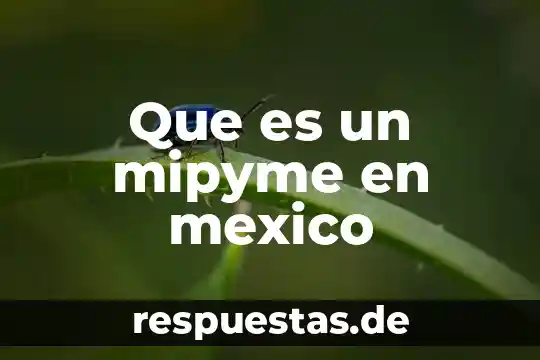 El número de cuil en México 7 Que es un mipyme en mexico