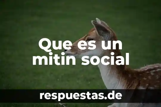 Que es cultura segun la antropología social 7 Que es un mitin social
