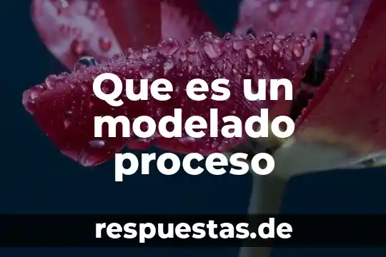 Que es un mandala en la educacion 6 Que es un modelado proceso