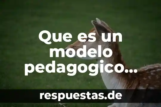 Qué es arte pedagógico 6 Que es un modelo pedagogico virtual