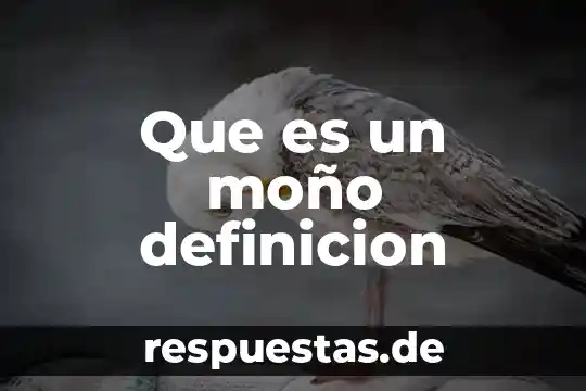 Qué es antonimia definición 6 Que es un moño definicion