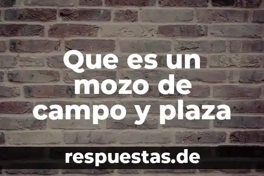 Qué es el número de plaza en un banco 4 Que es un mozo de campo y plaza