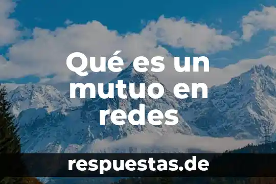 Qué es un mutuo en redes