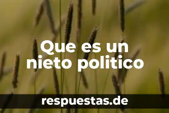 Qué es redondiar un número a una decima cercana 8 Que es un nieto politico