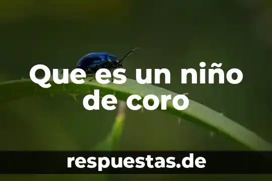 Cómo explicar al niño que es un problema 8 Que es un niño de coro