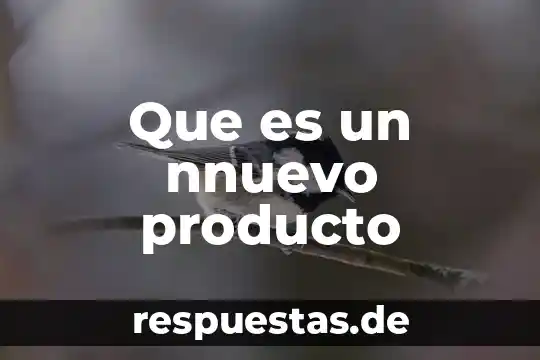 Que es la definición del producto 5 Que es un nnuevo producto