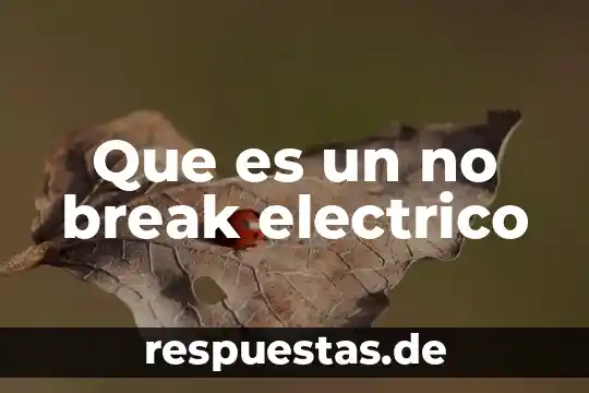 Qué es un flotador eléctrico 6 Que es un no break electrico