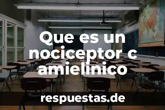 Qué es fr p c 4 Que es un nociceptor c amielinico