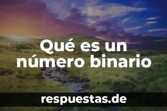 Que es un elemento binario 8 Qué es un número binario